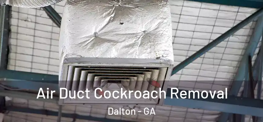 Air Duct Cockroach Removal Dalton - GA