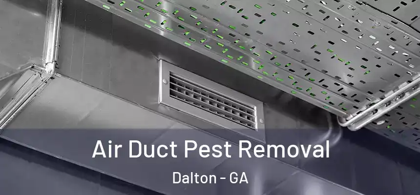  Air Duct Pest Removal Dalton - GA