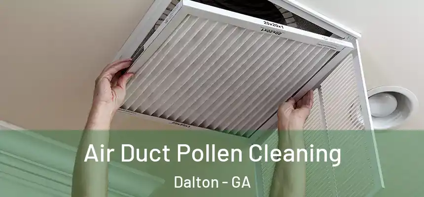  Air Duct Pollen Cleaning Dalton - GA