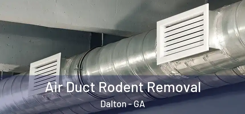 Air Duct Rodent Removal Dalton - GA