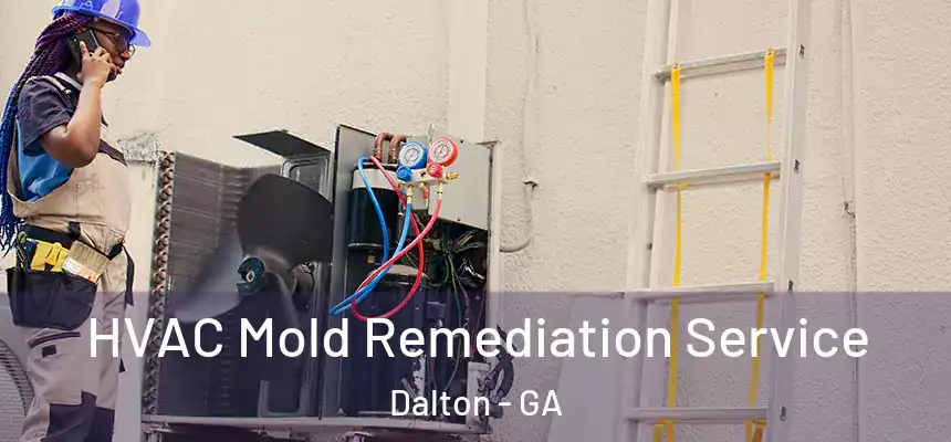HVAC Mold Remediation Service Dalton - GA