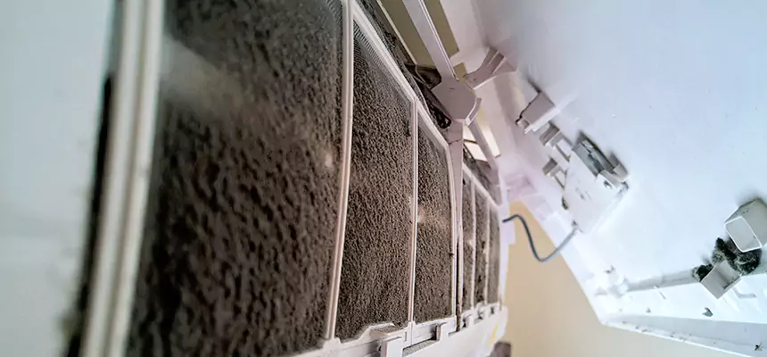 Preventive Air Duct Bacteria Removal in Dalton