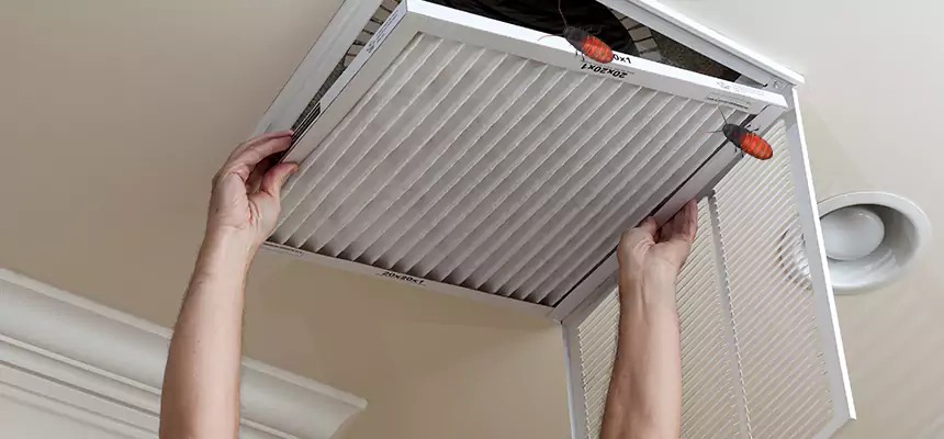 Preventive Cockroach-Proofing for Ducts in Dalton