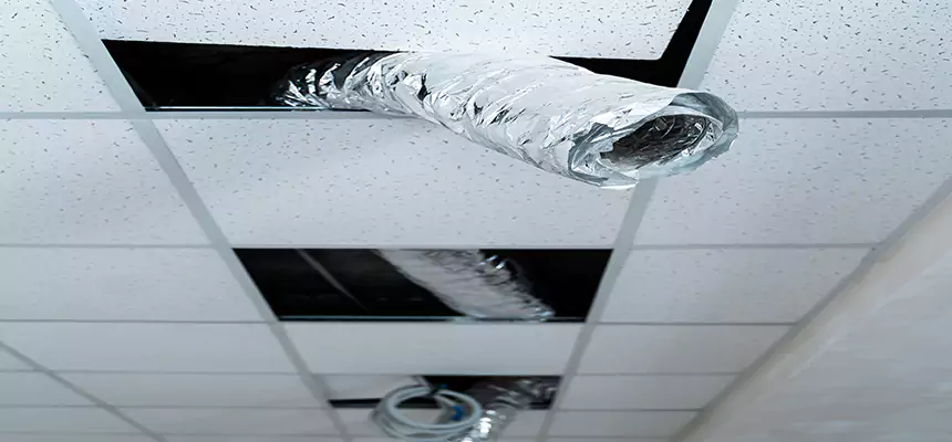 Affordable HVAC Sanitizing After Pest Removal in Dalton