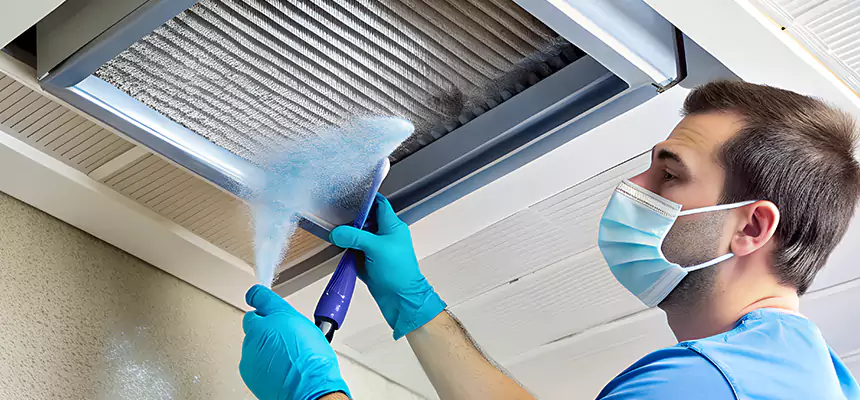 Proactive Dryer Vent & Auxiliary Duct Pollen Cleanup in Dalton, GA