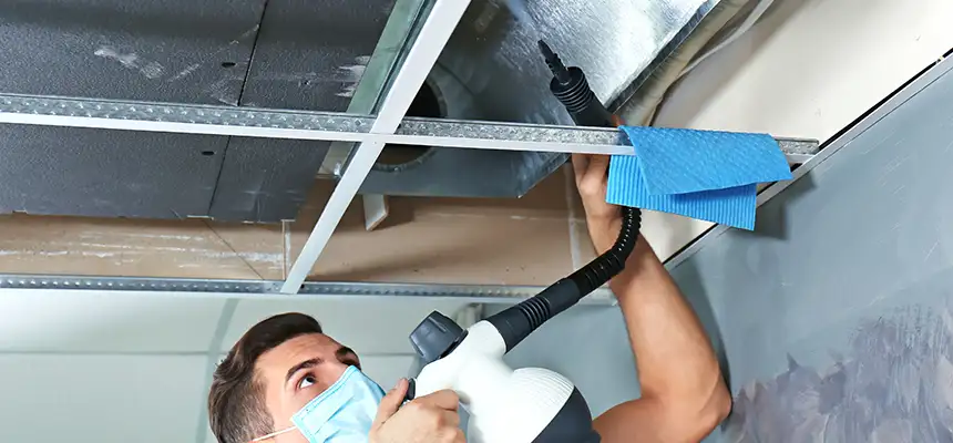 Our Air Duct Rodent Removal Services in Dalton, GA