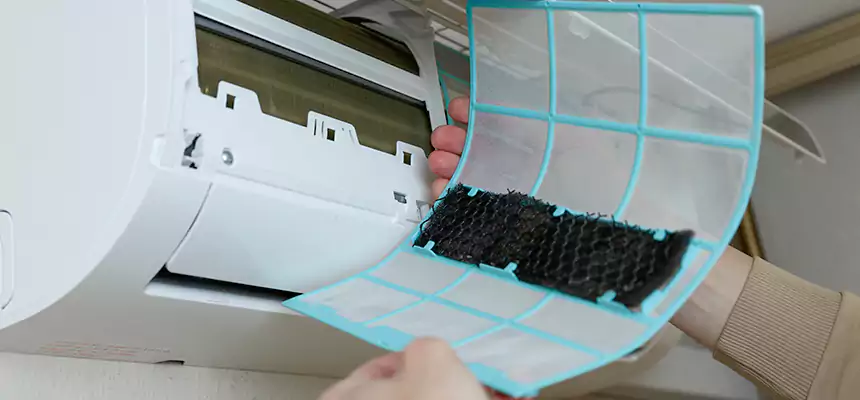 Gentle Ductwork Odor-Control Pet Dander Duct Cleaning in Dalton, GA