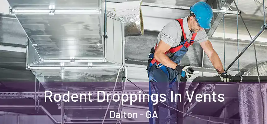  Rodent Droppings In Vents Dalton - GA