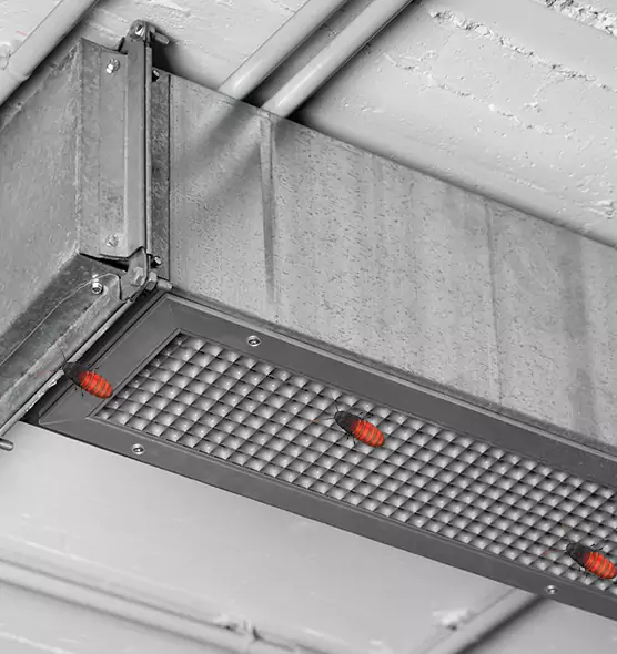 About Air Duct Cockroach Removal in Dalton, GA