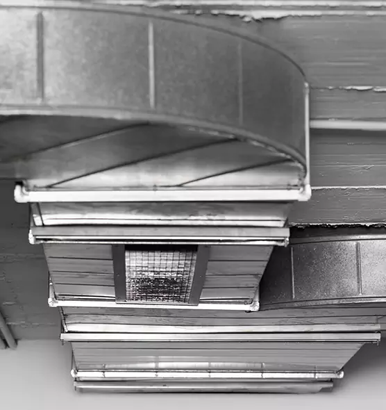 Professional Air Duct Pet Hair Removal in Dalton, GA