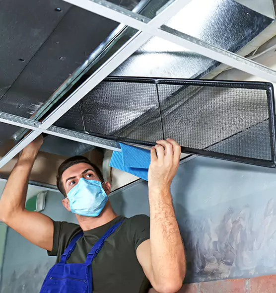 Professional Air Duct Pollen Cleaning in Dalton, GA