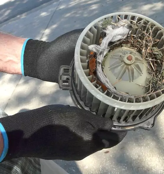 About Air Duct Rat Removal in Dalton, GA