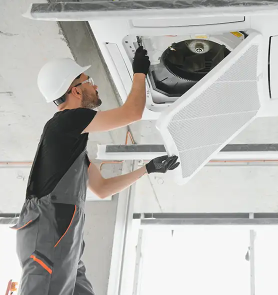 About Air Duct Rodent Removal in Dalton, GA