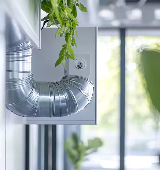 Professional Eco-Friendly Duct Cleaning Services in Dalton, GA