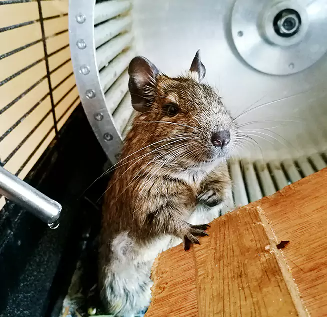 Why Homeowners & Businesses Trust Us Dalton, GA