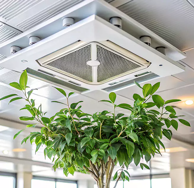 Why Homeowners & Businesses Trust Us in Dalton, GA?