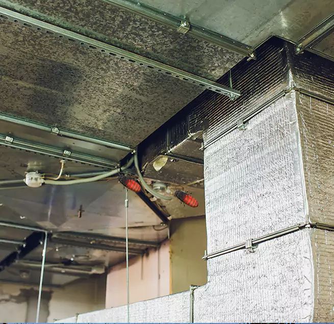 Why Homeowners & Businesses Trust Us Dalton, GA?