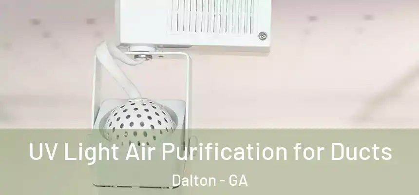  UV Light Air Purification for Ducts Dalton - GA